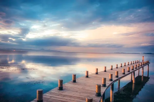 美食蒸蛋的做法视频