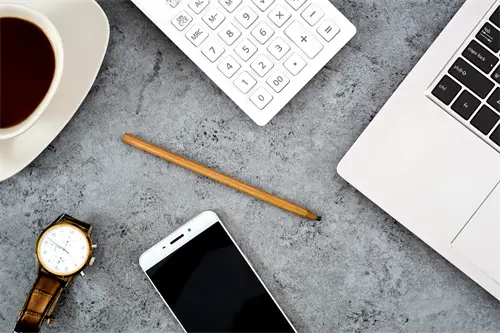 动物美食视频做法教程